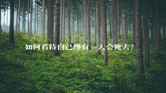 如何看待自己终有一天会死去？